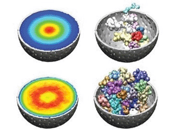 Image: Researchers analyzed the differences and similarities in genome structure between various cells to create a model of the human genome (Photo courtesy of the University of Southern California).